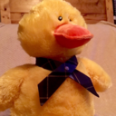 agent-quackers avatar