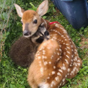 agere-activities avatar