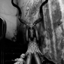 ahahafuckyouhaha avatar