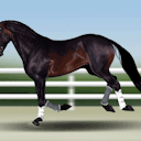 ahmed-kamels-world avatar