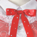 aidorucloset avatar
