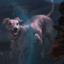 aimlessapocalypse avatar