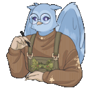 akarosnoctua avatar