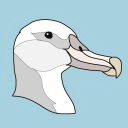 alabasteralbatross avatar