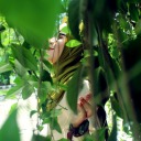 albertashendy avatar