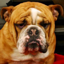 alejandro5756 avatar