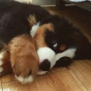 aleksanderyearns avatar