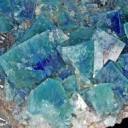 alessiagiselle avatar