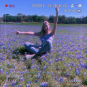 alexaelice-blog avatar