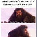 alexander2027 avatar