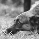 alexeiivanivanov avatar