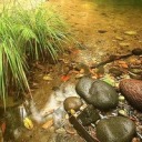 alexeykiselev avatar