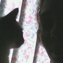 algemadapaixao avatar