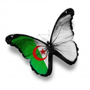 algeria-blog-blog avatar