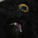 aliceandherdepression avatar