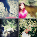 aliceintheskydontfly avatar