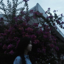 alicenowonderland avatar