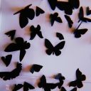 alicesenzacielo avatar