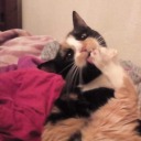 alien-glitter-fiend avatar