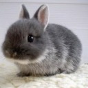 alienatednation avatar