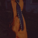 alienhaven-blog1 avatar