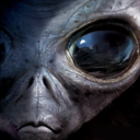 alienlikeu avatar