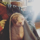 aliensnewgroove avatar