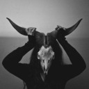 alinmuerdecachetes avatar