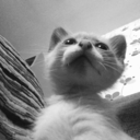 alivewithpleasureworld avatar