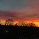 alix-the-alien-cyborg avatar