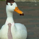 all-i-do-now-is-duck-around-blog avatar