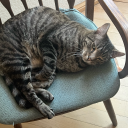 all-the-prompts avatar