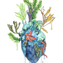 allaidhwrites avatar