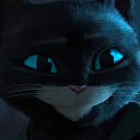 allalonesthings avatar