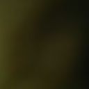 allergic-ut-rerum avatar