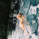 alles-nurfassade avatar