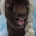 allhailthegoatlord avatar