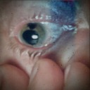 allnostalgialies avatar