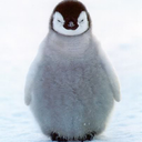 allofthepenguins avatar