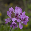 alls-mad-here-blog avatar