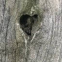 allthecastlesonclouds avatar