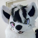 allthefursuits avatar