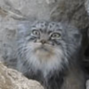 alltheseplots avatar