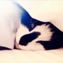 allthingslissy avatar