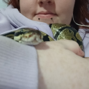 allusive-minx avatar