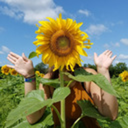 almaprosperidad avatar