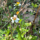 almostabandoned avatar