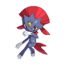 alolan-weavile avatar