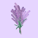 aloosefangirl avatar