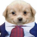 alphabet-pony avatar